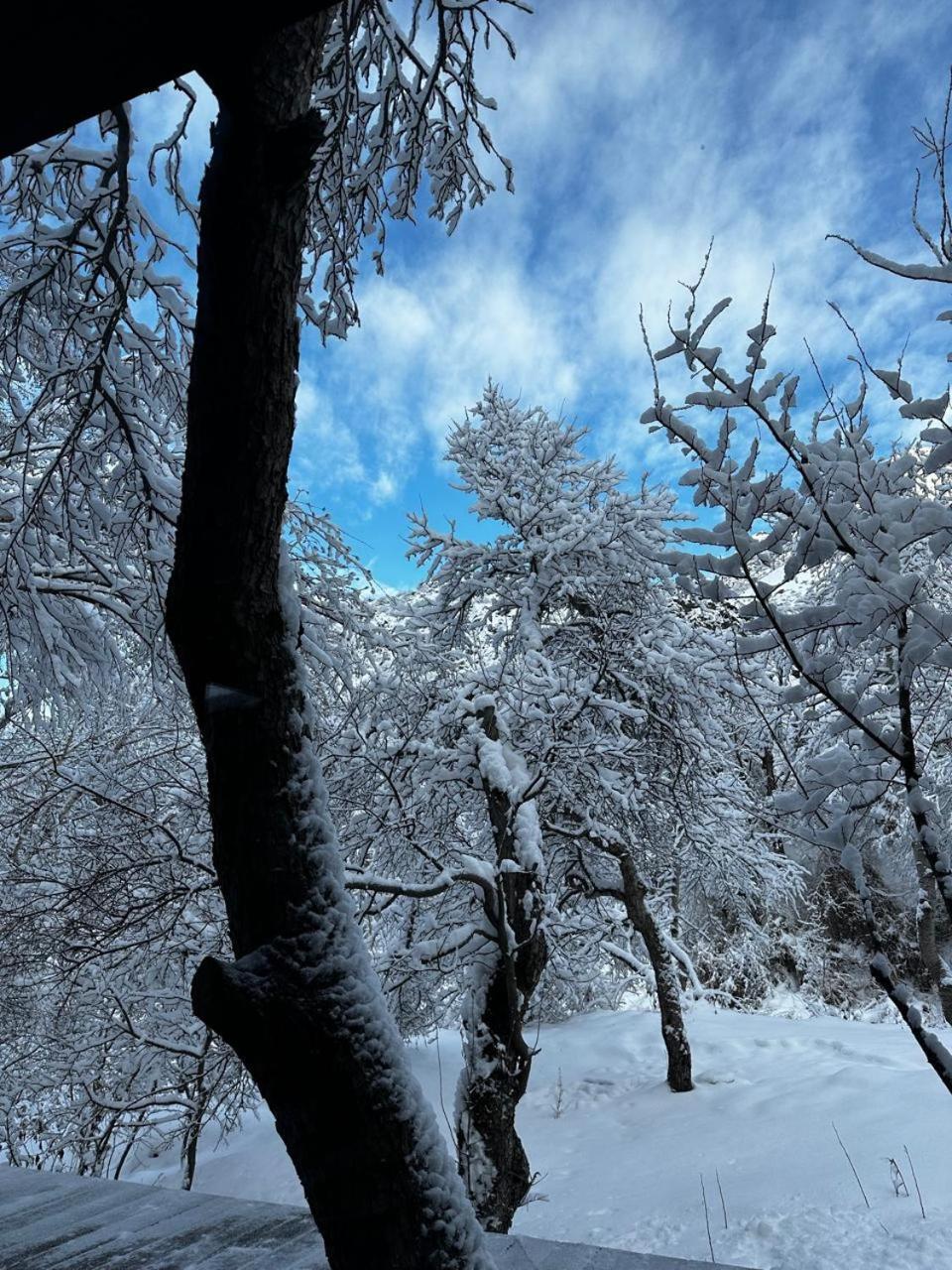 Вілла Turgensai Visitor Center Tauturgen Екстер'єр фото